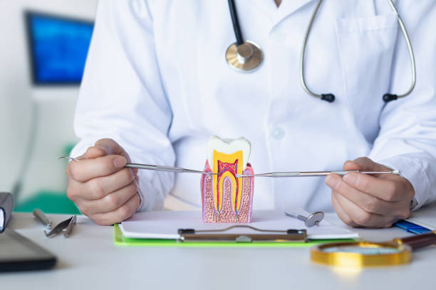 Best Emergency Dental Care for Sports Injuries in Groesbeck, OH
